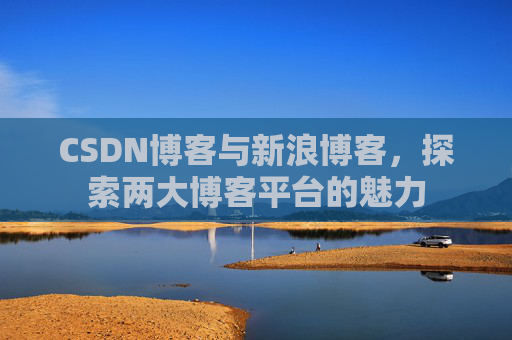 CSDN博客与新浪博客,探索两大博客平台的魅力